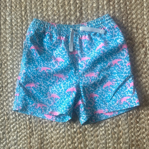 Boys Chubbies Swim Shorts - Picture 1 of 6